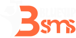 Blupip Smart School Solution